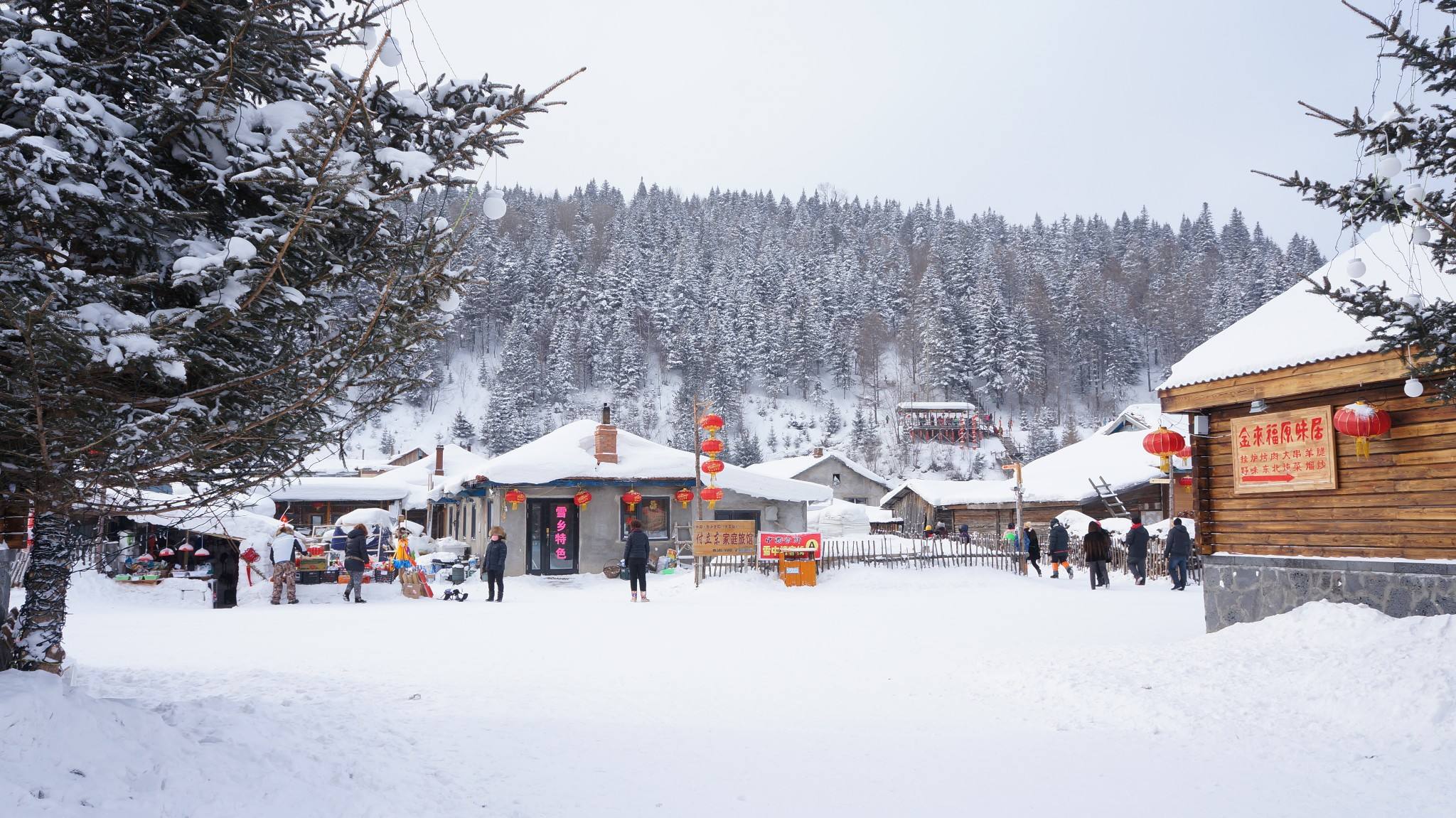 东北话百听不厌，看看你会说多少？
