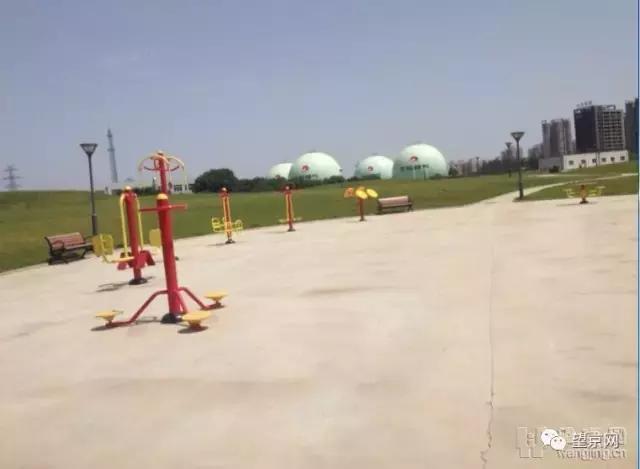 厚积薄发银杏,望京公园和大望京公园哪个好