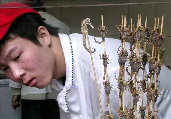 鐟炲＋鏄嗚櫕姹夊牎,鐟炲＋杩為攣瓒呭競