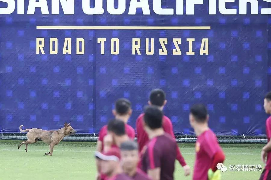 里皮祭拜天地?看周星驰,吴京,马丽手把手教你踢球