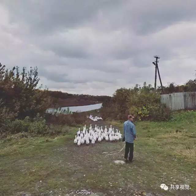 google街景照片怎么拍,谷歌地图摄影作品