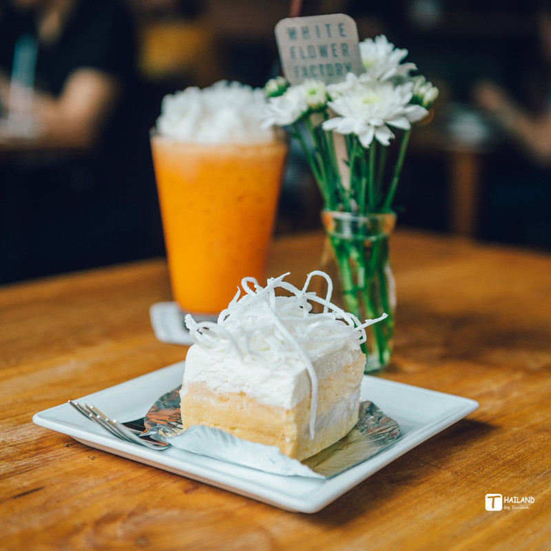 带你一起去泰国看海,回忆那年在泰国踏浪看海