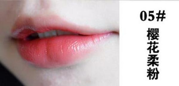 不沾杯平价口红推荐,平价美妆日记