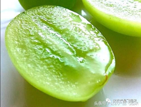 晴王葡萄真的有那么贵,带你了解麝香鼠的真相