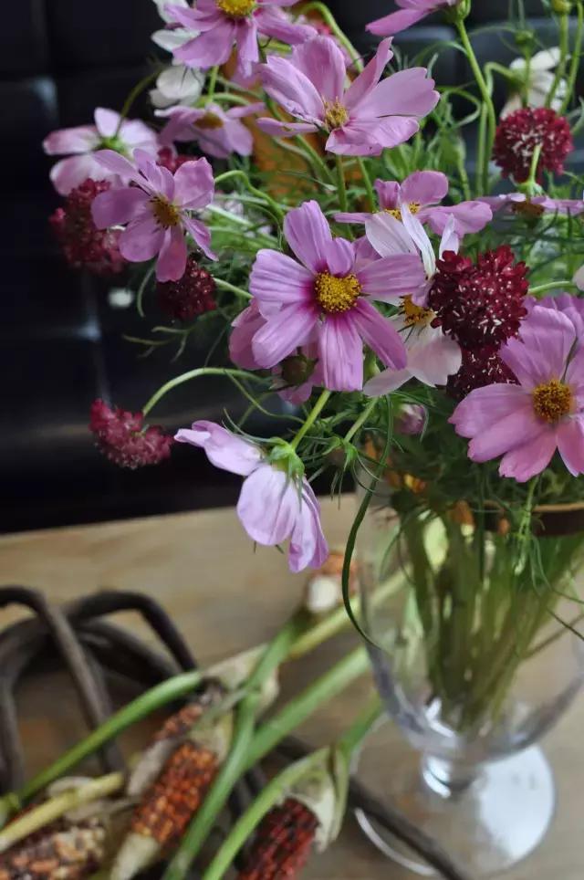 七夕第一次去花店买花应该怎么做,花店七夕节怎么卖花