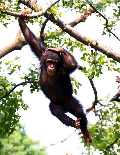 弦是如何组成物质的,所有物质是由分子构成的吗