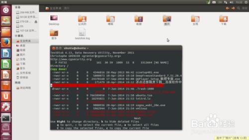 U盘失误格式化咋办？Ubuntu免费数据恢复Testdisk