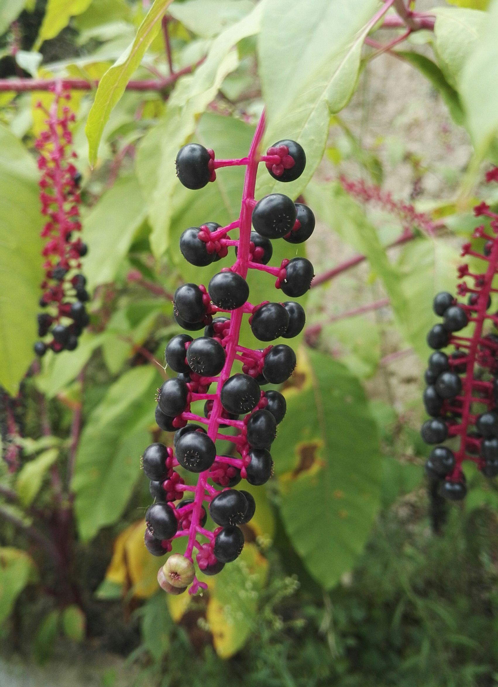 出门打工要懂得人情世故,在外地工作要不要学会当地的方言