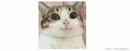 还去香港干嘛？日本都比香港折扣大