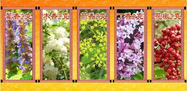 为什么不能抠肚脐眼的黑泥,肚脐眼有什么奥秘为什么不能抠