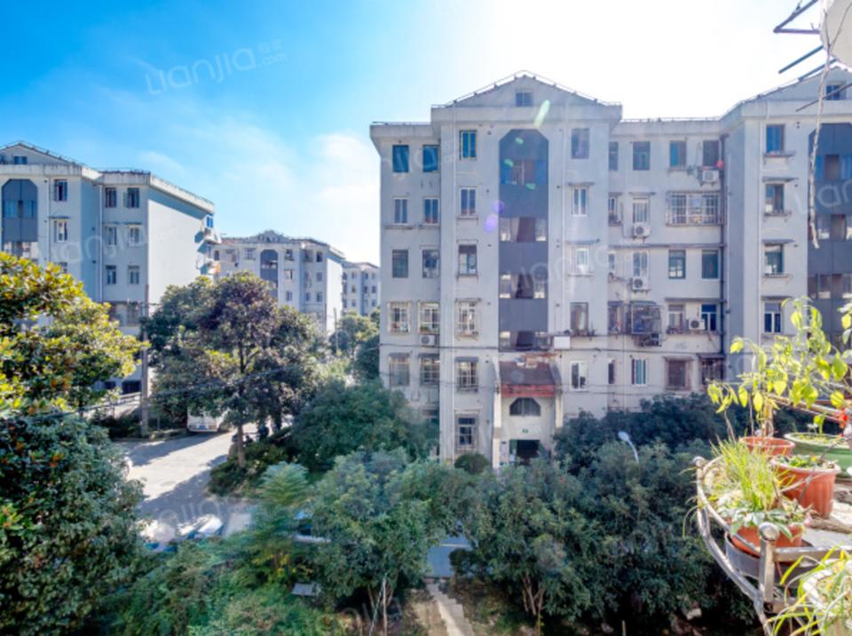 300万买了中环后，感觉这个城市终于和我有关了