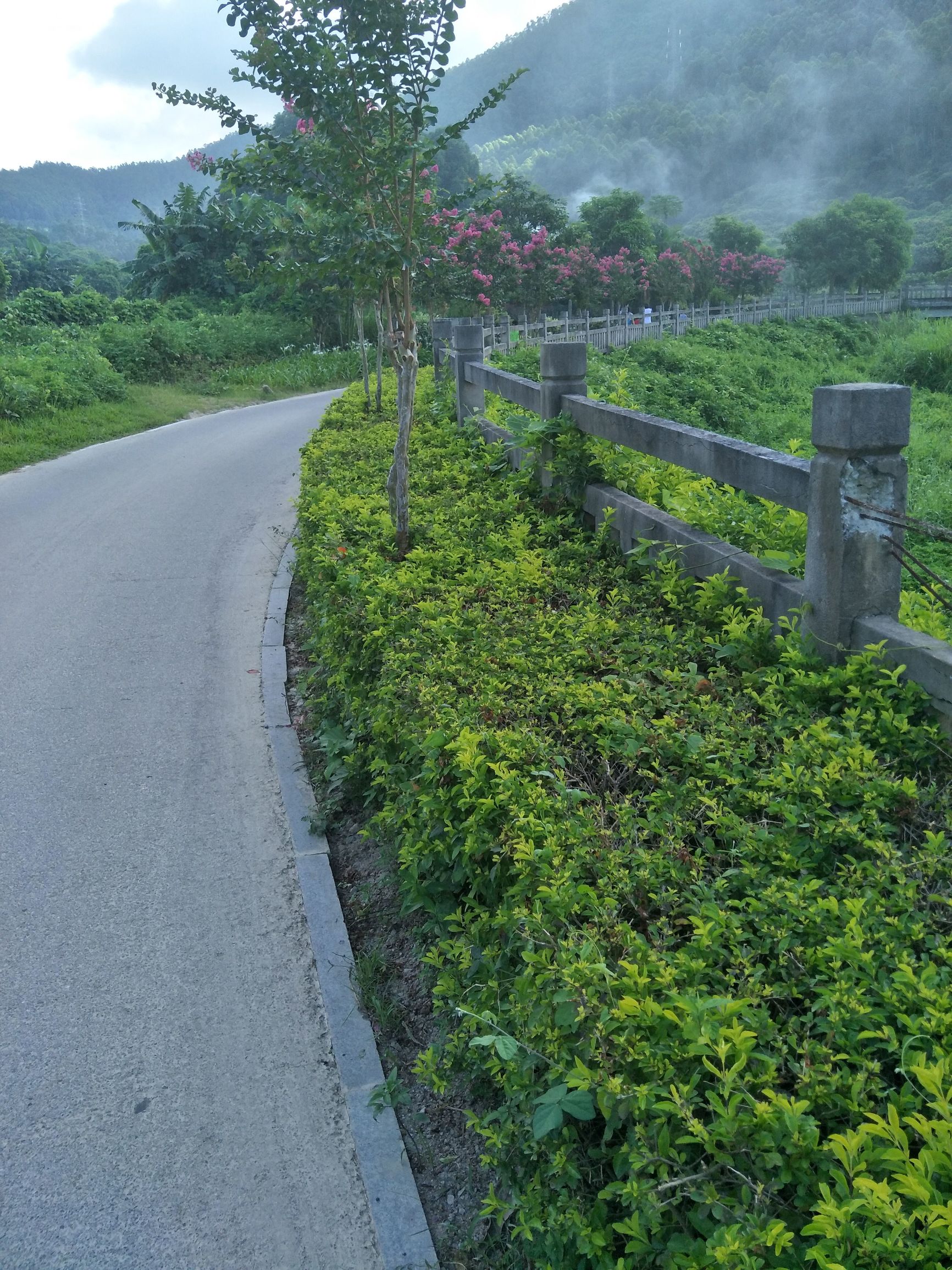 白天总是犯困通过什么运动改善,如何解决白天犯困晚上精神
