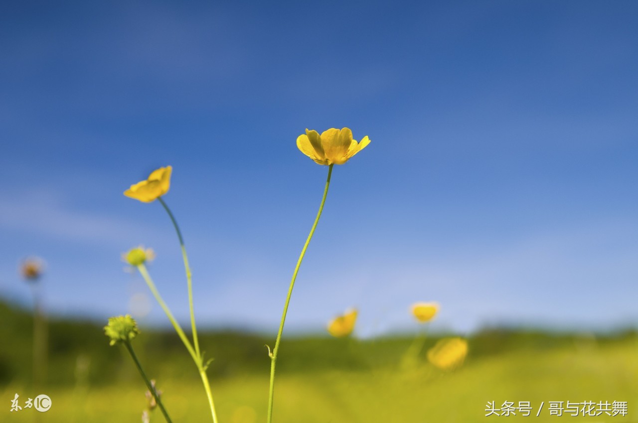 今生今世的等候,无悔的苦苦等待