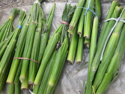 美食|舌尖上的东戴河:东北乌米