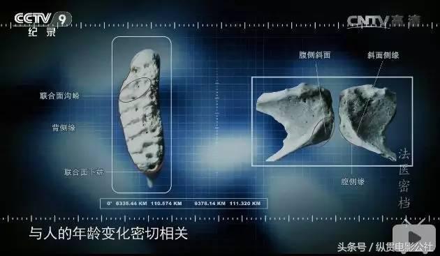 豆瓣8.1，央视良心之作，堪比《舌尖上的中国》