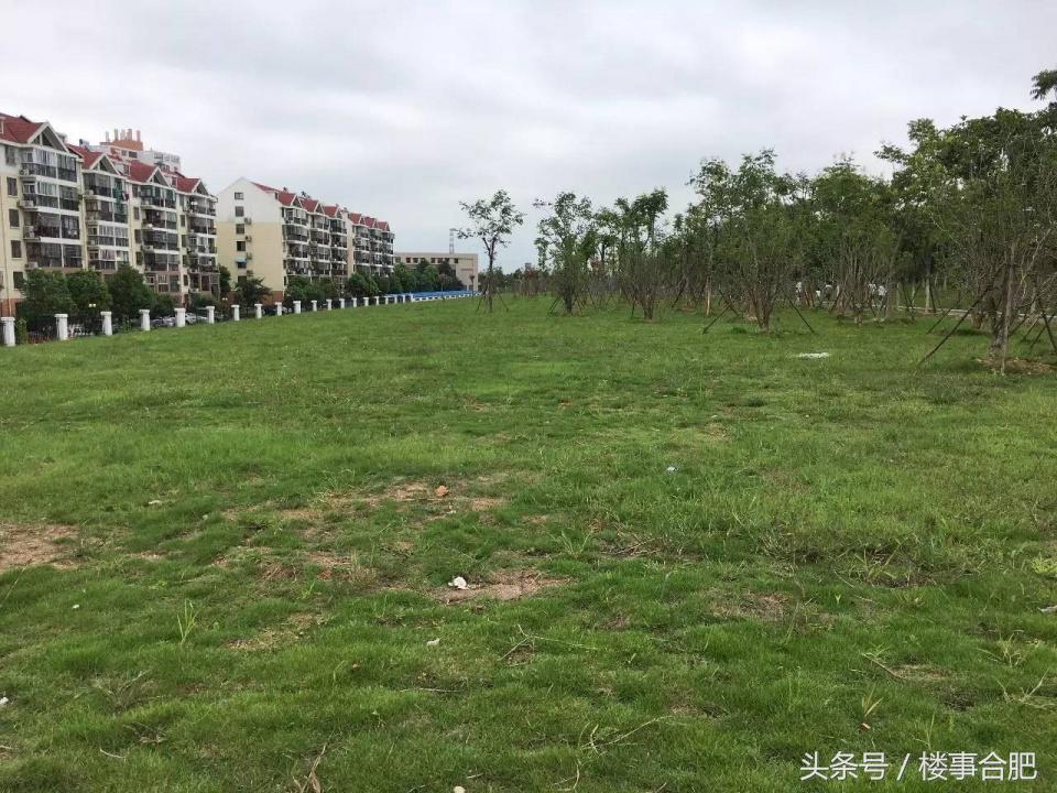 包河区s1702地块,包河s1605附近地块