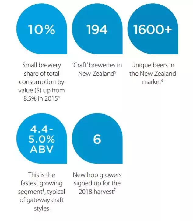 新西兰进口恩之普精酿啤酒,新西兰精酿啤酒生意