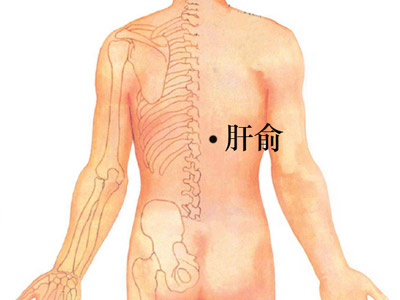 宫廷玉液酒能喝几杯,美酒玉液的功效