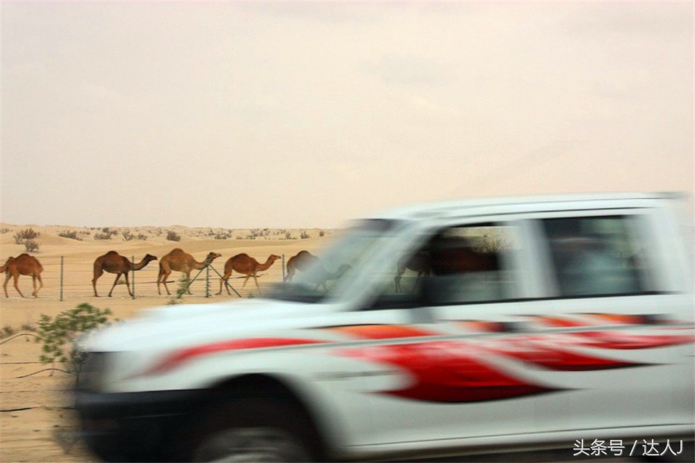 阿联酋滑雪场项目,阿联酋室内滑雪场