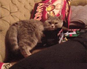 每日逗你一乐：今天我终于见到秋名山车神了