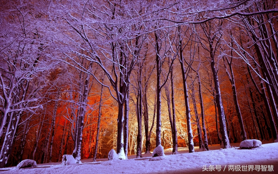 己所不欲勿施于人完整版,己所不欲勿施于人二年级日积月累