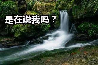 *楼青**梦、银瓶梅、*吟呻**语,古代标题*党**也很没节操嘛