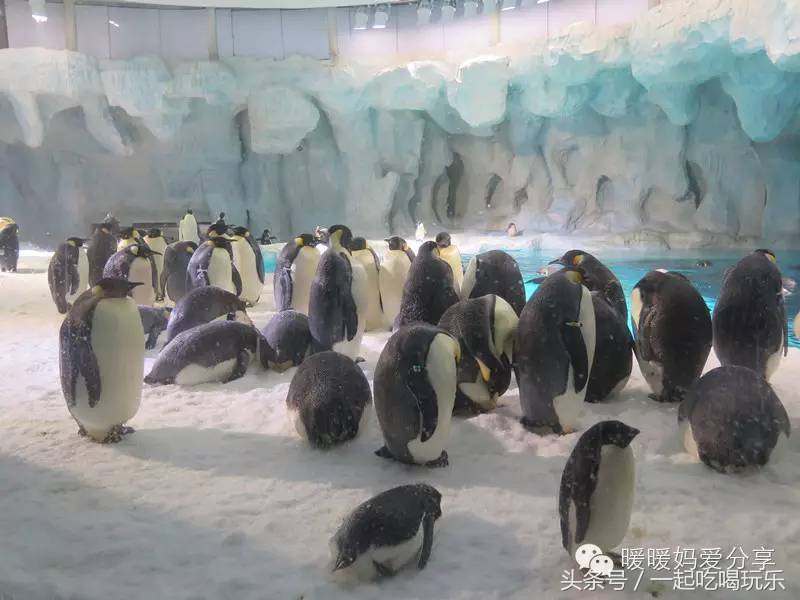 深圳长隆海洋王国攻略,珠海长隆国际海洋王国游玩攻略