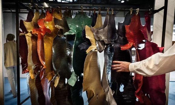 看起来差不多价格相差甚远,各类鳄鱼皮的价位