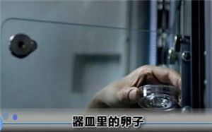 人工授精遭罪还是试管婴儿遭罪,试管婴儿的全部流程图解大全