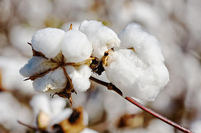 宝宝衣服为啥会过敏,劣质的衣服会导致宝宝过敏吗