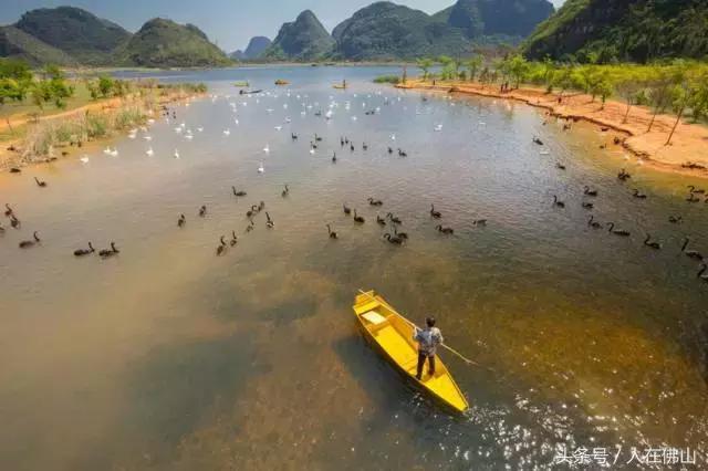 佛山西站出发动车直达!九月的普者黑,美成一幅脱俗的3D田园画~