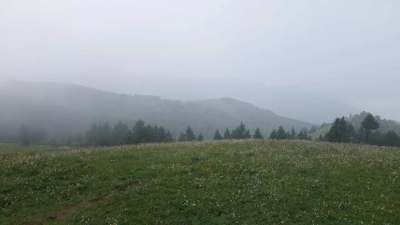 驼梁在石家庄什么地方,石家庄驼梁在石家庄的什么位置