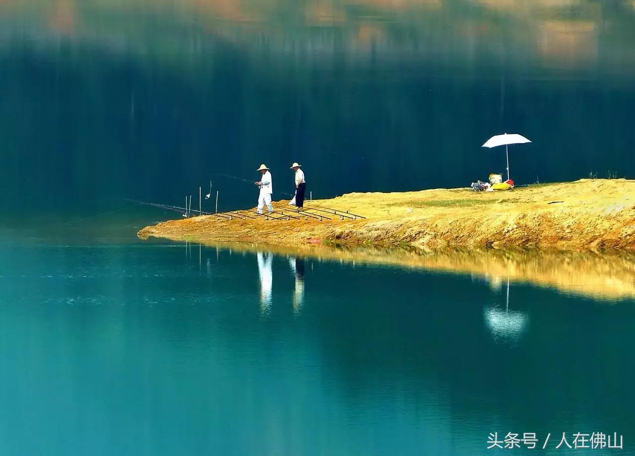 从佛山坐高铁到普者黑从哪进站,佛山西怎么坐高铁到普者黑