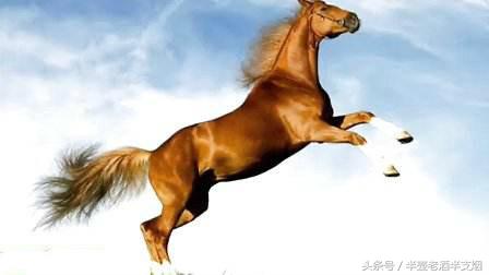 宋朝没有好的战马,宋朝之所以弱原因在于缺乏战马