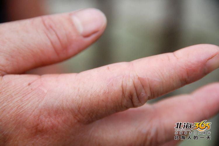 陈荣华北海,北海人的一天