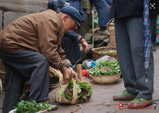 没想到，多年前的威远和现在的威远差别竟然如此之大