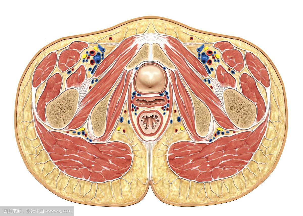从小便的姿势，看你是不是健康！