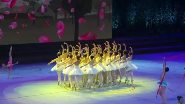 第14届全国学生运动会视频,十四届全国学生运动会图片