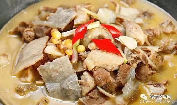 窄桥龟一出来就会咬人,几厘米长的龟会咬人