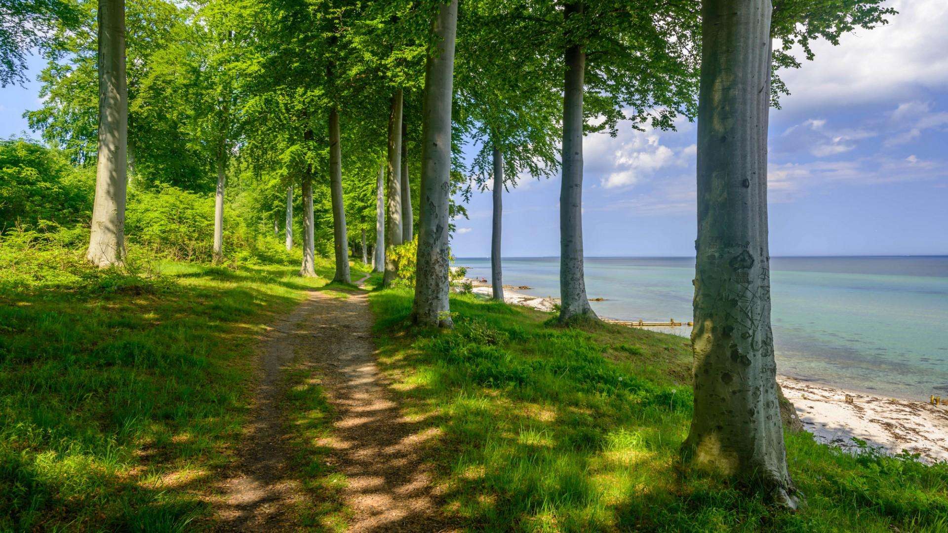 高一历史复习视频,高一历史必背知识点录音