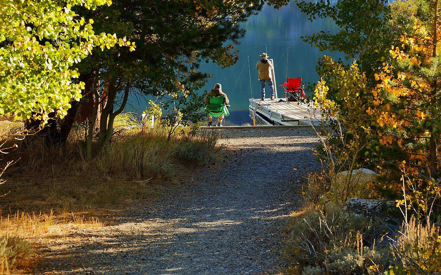 高一历史复习视频,高一历史必背知识点录音