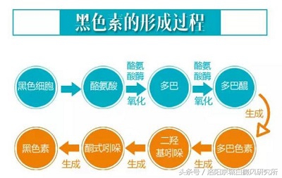 白癜风和黑色素缺失有什么区别,白癜风是不是黑色素缺失