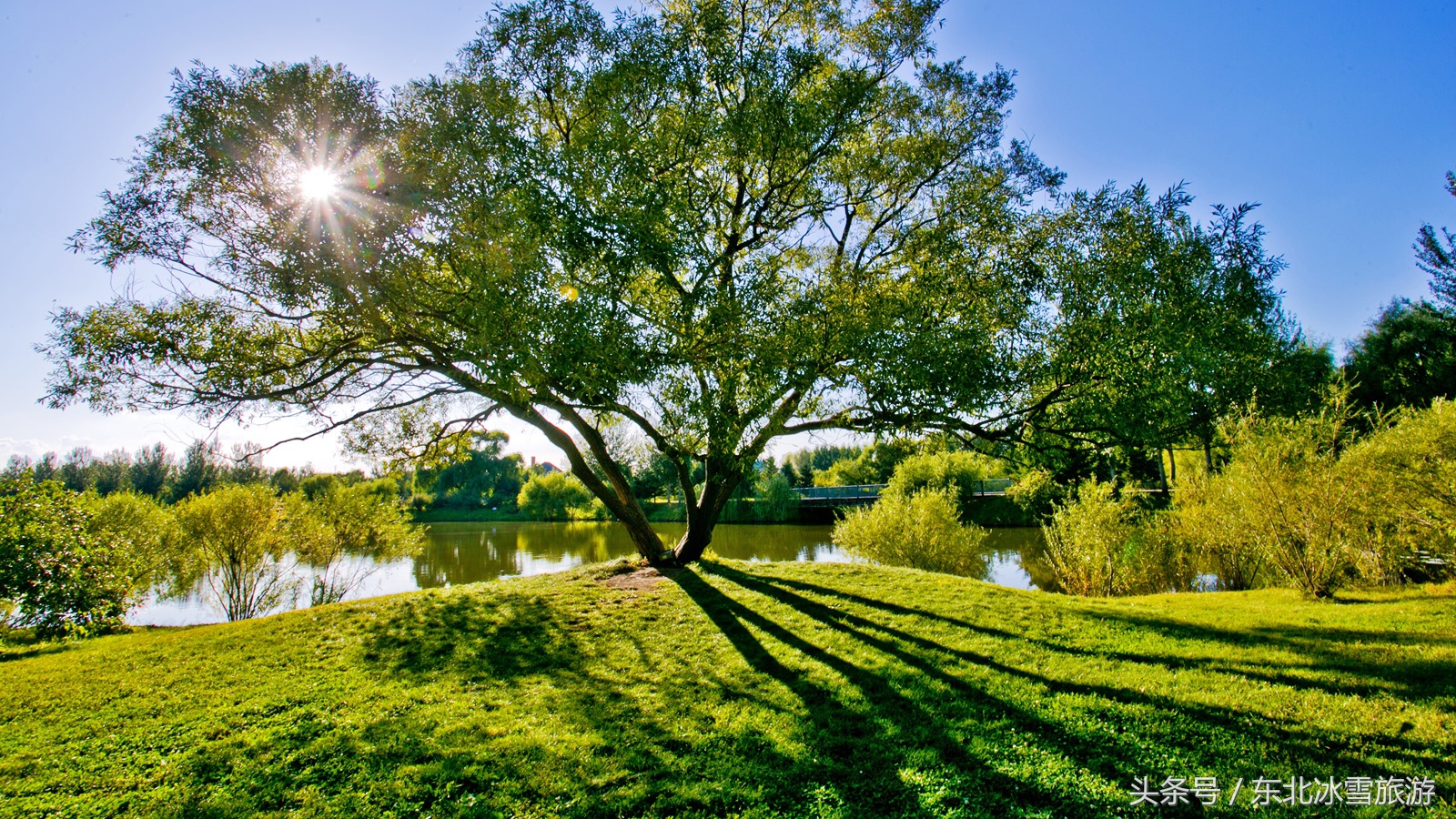 伏尔加庄园一日游攻略,伏尔加庄园一日游团