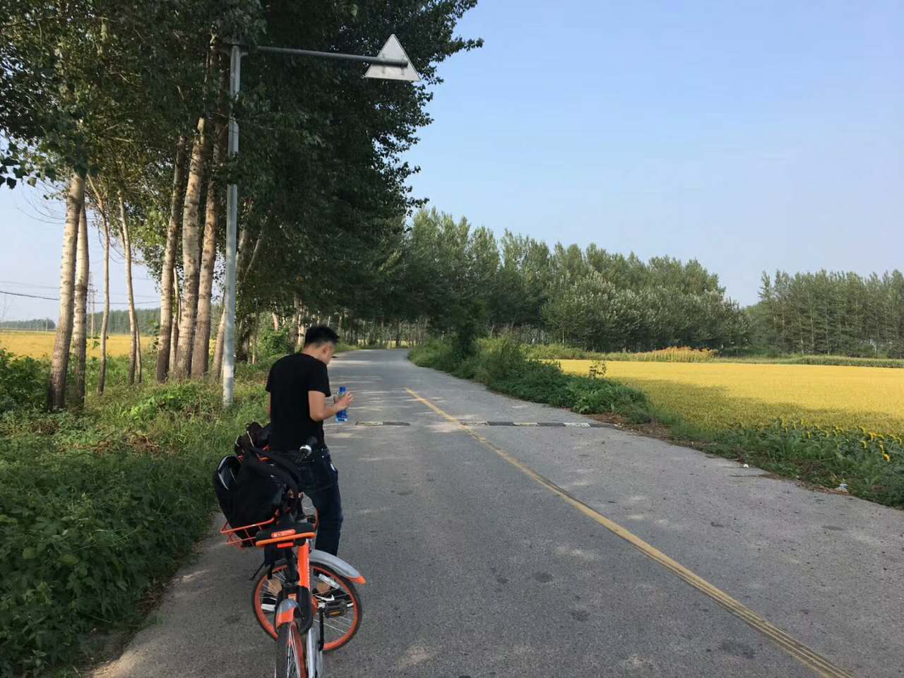 本溪沈阳304国道,沈阳浑南304国道