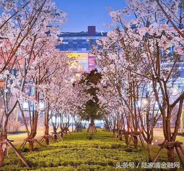 重磅！“人文之虹口岸之城”强势来袭！