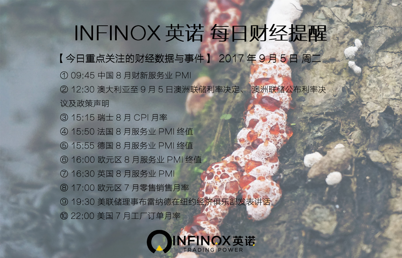 infinox英诺靠谱吗,infinox英诺官网电话