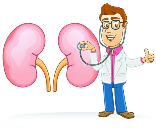 体检发现尿蛋白是怎么回事,出现尿蛋白的危害及治疗方法