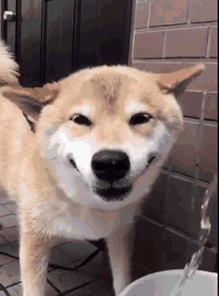 92平米北欧公寓装修效果图,宜家风格小户型样板房