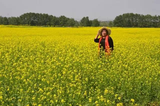 带着老伴穷游,60大叔自驾房车带老伴环游中国