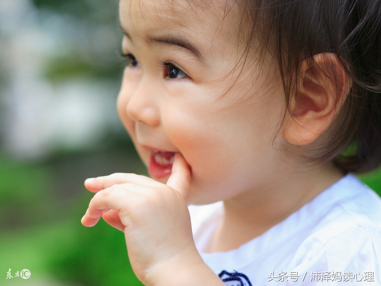 宝宝幼儿园有火吃点啥,爱上火的宝宝吃什么保健品好